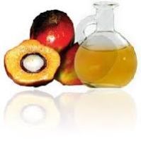 Palm Fruit Oil