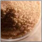 Raw Sugar