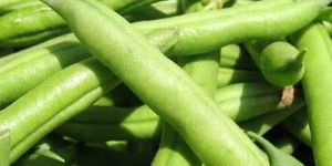 Green Beans