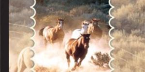 Exercise Book Hard Bound