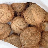 Fresh Coconut