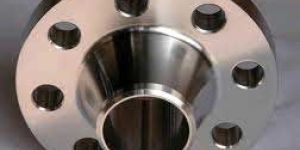 Stainless Steel Flanges