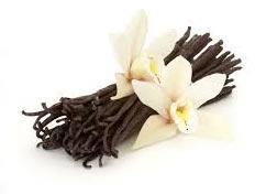 Vanilla Oil