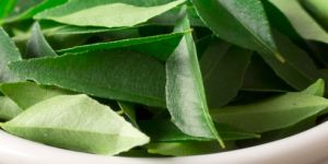 Curry Leaf