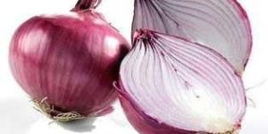 Fresh Onion