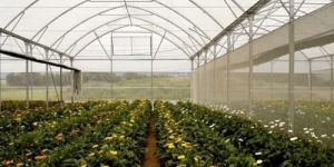 Greenhouse Structure Net