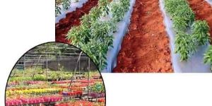 Nursery Mulching Sheets