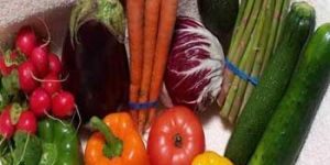 Fresh Vegetables