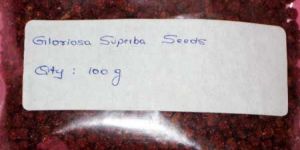 Gloriosa Superba Seed