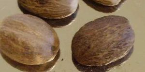 Nutmegs