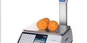 Label Printing Scale
