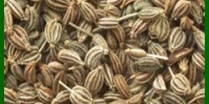 Ajwain Seed