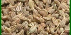 Anise Seed