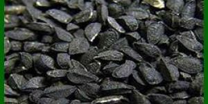 Black Cumin