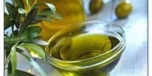 Edible Oil Testing Service