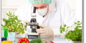 Food Analysis Services