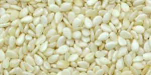 Hulled White Sesame Seed,sesame Seeds