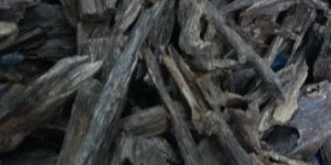 Regular Agarwood Chips