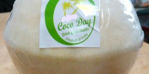 Tender Coconut - Processed