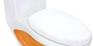 Ceramic Water Closet