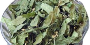 Dried Neem Leaves