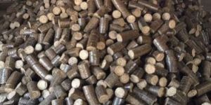 Bio Coal Briquettes