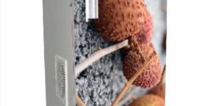 VDI Kantak Domestic Flour Mill