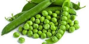 Fresh Peas