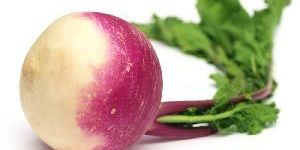 Fresh Turnip