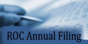 ROC Filing Services