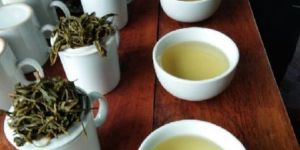 Organic Green Tea