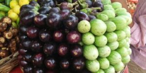 Fresh Brinjal