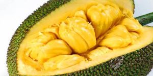 Jackfruit
