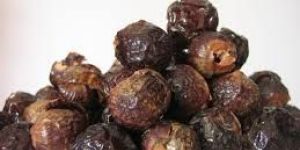 Soap Nuts