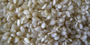 Sesame Seeds