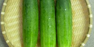 Cucumber