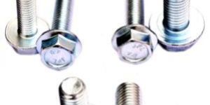 Flange Screw
