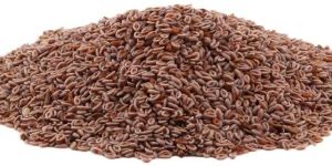 Psyllium Seeds