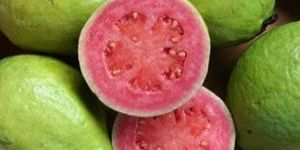 Pink Guava Pulp / Puree