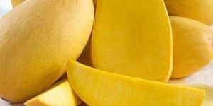 Totapuri Mango Concentrates