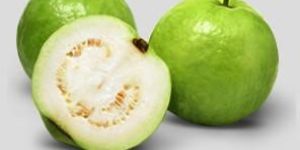 White Guava Concentrates