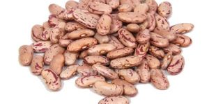 White Rajma