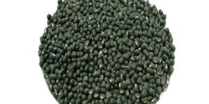 Whole Urad Dal