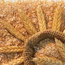 Wheat Germ