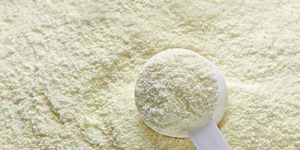 Dairy Powders