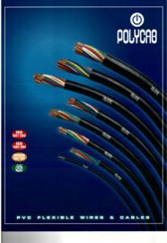 PVC Flexible Brochure