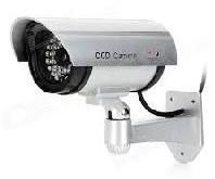 CCD Cameras
