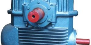 Worm Gearbox