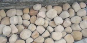 Teakwood Pebbles