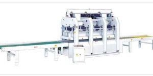 Short Cycle Lamination Press
